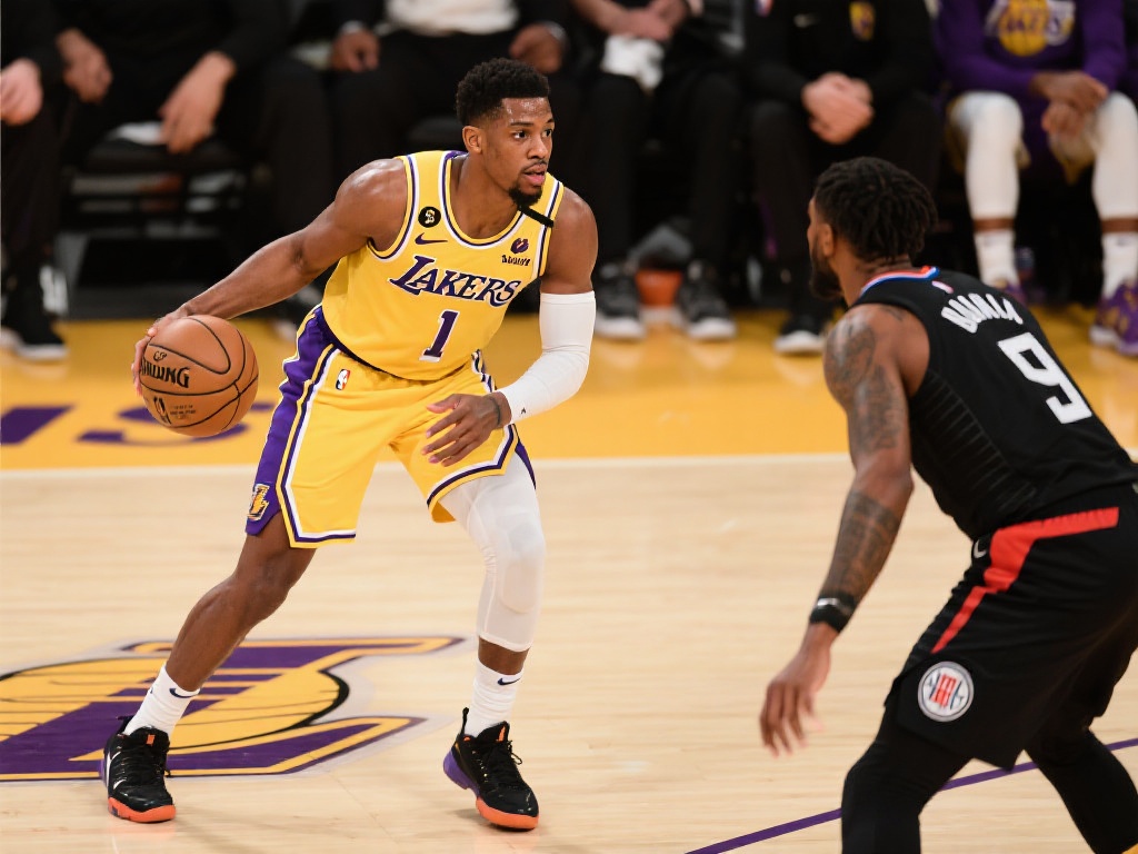 哈姆带领球 哈姆带领球